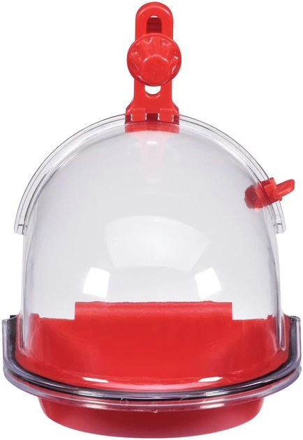 JW Pet InSight Bird Bath, Regular JW Pet InSight Bird Bath -Pet Toy Elegant Shop 102130 PT2. SY630 V1466454974