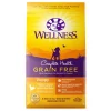 Wellness Grain-Free Complete Health Puppy Deboned Chicken, Chicken Meal & Salmon Meal Recipe Dry Dog Food 2 Wellness Grain-Free Complete Health Puppy Deboned Chicken, Chicken Meal & Salmon Meal Recipe Dry Dog Food -Pet Toy Elegant Shop 106875 MAIN. SY630 V1605831441