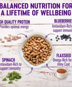 Wellness Grain-Free Complete Health Small Breed Adult Deboned Turkey, Chicken Meal & Salmon Meal Recipe Dry Dog Food 4 Wellness Grain-Free Complete Health Small Breed Adult Deboned Turkey, Chicken Meal & Salmon Meal Recipe Dry Dog Food -Pet Toy Elegant Shop 106879 PT2. SY630 V1629821772