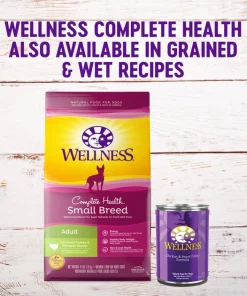 Wellness Grain-Free Complete Health Small Breed Adult Deboned Turkey, Chicken Meal & Salmon Meal Recipe Dry Dog Food 8 Wellness Grain-Free Complete Health Small Breed Adult Deboned Turkey, Chicken Meal & Salmon Meal Recipe Dry Dog Food -Pet Toy Elegant Shop 106879 PT6. SY630 V1605828714