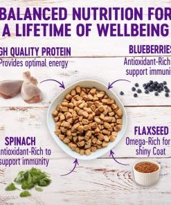 Wellness Grain-Free Complete Health Large Breed Adult Deboned Chicken & Chicken Meal Recipe Dry Dog Food 4 Wellness Grain-Free Complete Health Large Breed Adult Deboned Chicken & Chicken Meal Recipe Dry Dog Food -Pet Toy Elegant Shop 106882 PT2. SY630 V1629821825