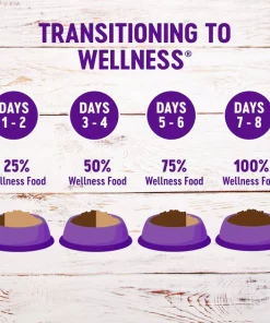 Wellness Complete Health Natural Grain-Free Deboned Chicken & Chicken Meal Dry Cat Food 8 Wellness Complete Health Natural Grain-Free Deboned Chicken & Chicken Meal Dry Cat Food -Pet Toy Elegant Shop 114495 PT7. SY630 V1636506431