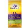 Wellness Complete Health Natural Grain-Free Deboned Chicken & Chicken Meal Dry Kitten Food -Pet Toy Elegant Shop 114498 MAIN. SY630 V1636517574