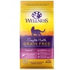 Wellness Complete Health Natural Salmon & Herring Indoor Grain-Free Dry Cat Food -Pet Toy Elegant Shop 114501 MAIN. SY630 V1636496554