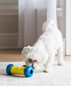 JW Pet Robo Bone Electronic Treat Dispenser Dog Toy -Pet Toy Elegant Shop 175097 PT2. SY630 V1602314167