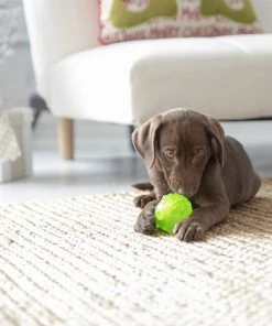 JW Pet Hedgehog Squeaky Ball Dog Toy -Pet Toy Elegant Shop 182731 PT2. SY630 V1602326776