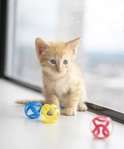 JW Pet Cat Crazies Cat Toy -Pet Toy Elegant Shop 182739 PT2. SY630 V1602327670