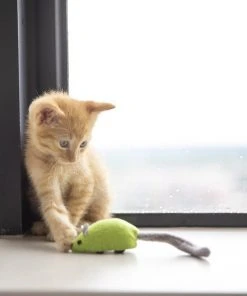 JW Pet Cat Zippy Mouse Cat Toy -Pet Toy Elegant Shop 182741 PT2. SY630 V1602330668