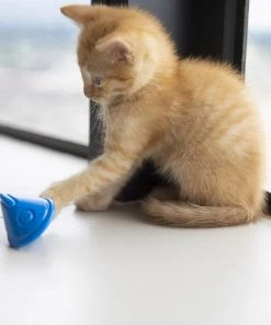 JW Pet Tumbler Cat Toy -Pet Toy Elegant Shop 182745 PT2. SY630 V1602337883