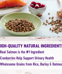 Wellness Complete Health Salmon Adult Dry Cat Food -Pet Toy Elegant Shop 265111 PT2. SY630 V1636505181