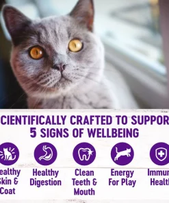 Wellness Complete Health Salmon Adult Dry Cat Food -Pet Toy Elegant Shop 265111 PT3. SY630 V1636514802