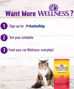 Wellness Complete Health Salmon Adult Dry Cat Food -Pet Toy Elegant Shop 265111 PT8. SY630 V1636518682