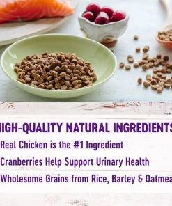 Wellness Complete Health Chicken & Rice Dry Cat Food -Pet Toy Elegant Shop 265112 PT2. SY630 V1636504373