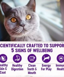 Wellness Complete Health Chicken & Rice Dry Cat Food -Pet Toy Elegant Shop 265112 PT3. SY630 V1636504103