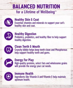 Wellness Complete Health Chicken & Rice Dry Cat Food -Pet Toy Elegant Shop 265112 PT5. SY630 V1636519896