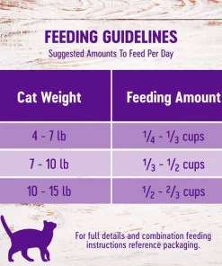 Wellness Complete Health Chicken & Rice Dry Cat Food -Pet Toy Elegant Shop 265112 PT7. SY630 V1636504608