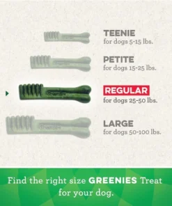 Wellness||Greenies Wellness Complete Health Adult Deboned Chicken & Oatmeal Recipe Dry Food + Greenies Regular Dental Dog Treats 13 Wellness||Greenies Wellness Complete Health Adult Deboned Chicken & Oatmeal Recipe Dry Food + Greenies Regular Dental Dog Treats -Pet Toy Elegant Shop 293996 PT5. SY630 V1620090441