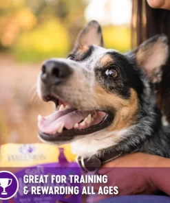 Wellness Complete Health Adult Whitefish & Sweet Potato Recipe Dry Food + WellBites Lamb & Salmon Recipe Soft & Chewy Grain-Free Dog Treats -Pet Toy Elegant Shop 294002 PT6. SY630 V1621989177