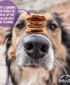 Wellness Complete Health Adult Whitefish & Sweet Potato Recipe Dry Food + WellBites Lamb & Salmon Recipe Soft & Chewy Grain-Free Dog Treats -Pet Toy Elegant Shop 294002 PT7. SY630 V1621990986