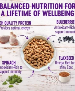 Wellness||WHIMZEES Wellness Large Breed Complete Health Adult Deboned Chicken & Brown Rice Recipe Dry Food + WHIMZEES Natural Dental Chews Medium Breed Value Box Dog Treats 12 Wellness||WHIMZEES Wellness Large Breed Complete Health Adult Deboned Chicken & Brown Rice Recipe Dry Food + WHIMZEES Natural Dental Chews Medium Breed Value Box Dog Treats -Pet Toy Elegant Shop 294022 PT2. SY630 V1621990124