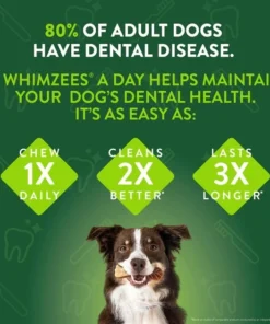 Wellness||WHIMZEES Wellness Large Breed Complete Health Adult Deboned Chicken & Brown Rice Recipe Dry Food + WHIMZEES Natural Dental Chews Medium Breed Value Box Dog Treats 15 Wellness||WHIMZEES Wellness Large Breed Complete Health Adult Deboned Chicken & Brown Rice Recipe Dry Food + WHIMZEES Natural Dental Chews Medium Breed Value Box Dog Treats -Pet Toy Elegant Shop 294022 PT5. SY630 V1621990074
