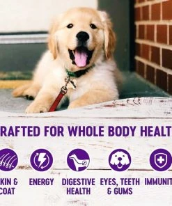 Wellness Large Breed Complete Health Puppy Deboned Chicken, Brown Rice & Salmon Meal Recipe Dry Food + Soft Puppy Bites Lamb & Salmon Recipe Grain-Free Dog Treats -Pet Toy Elegant Shop 294024 PT3. SY630 V1620244954