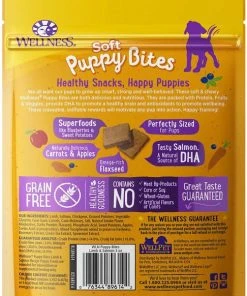Wellness Large Breed Complete Health Puppy Deboned Chicken, Brown Rice & Salmon Meal Recipe Dry Food + Soft Puppy Bites Lamb & Salmon Recipe Grain-Free Dog Treats -Pet Toy Elegant Shop 294024 PT5. SY630 V1620247337