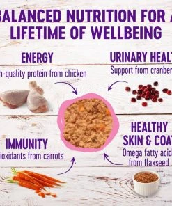 Wellness Complete Health Kitten Formula Grain-Free Canned Food + CORE Natural Grain-Free Turkey & Chicken Liver Pate Canned Kitten Food 4 Wellness Complete Health Kitten Formula Grain-Free Canned Food + CORE Natural Grain-Free Turkey & Chicken Liver Pate Canned Kitten Food -Pet Toy Elegant Shop 294276 PT2. SY630 V1621981987