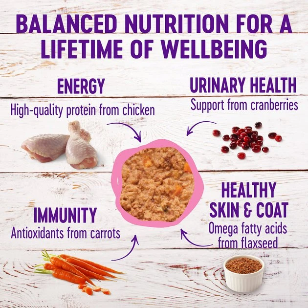 Wellness Complete Health Kitten Formula Grain-Free Canned Food + CORE Natural Grain-Free Turkey & Chicken Liver Pate Canned Kitten Food Wellness Complete Health Kitten Formula Grain-Free Canned Food + CORE Natural Grain-Free Turkey & Chicken Liver Pate Canned Kitten Food -Pet Toy Elegant Shop 294276 PT2. SY630 V1621981987