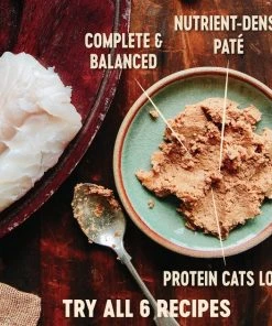 Wellness Complete Health Kitten Formula Grain-Free Canned Food + CORE Natural Grain-Free Turkey & Chicken Liver Pate Canned Kitten Food 8 Wellness Complete Health Kitten Formula Grain-Free Canned Food + CORE Natural Grain-Free Turkey & Chicken Liver Pate Canned Kitten Food -Pet Toy Elegant Shop 294276 PT6. SY630 V1621983141