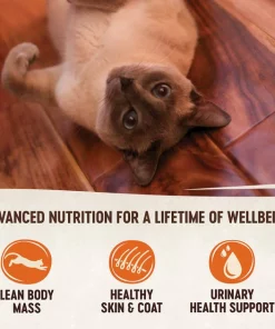 Wellness Complete Health Kitten Formula Grain-Free Canned Food + CORE Natural Grain-Free Turkey & Chicken Liver Pate Canned Kitten Food 9 Wellness Complete Health Kitten Formula Grain-Free Canned Food + CORE Natural Grain-Free Turkey & Chicken Liver Pate Canned Kitten Food -Pet Toy Elegant Shop 294276 PT7. SY630 V1621984103