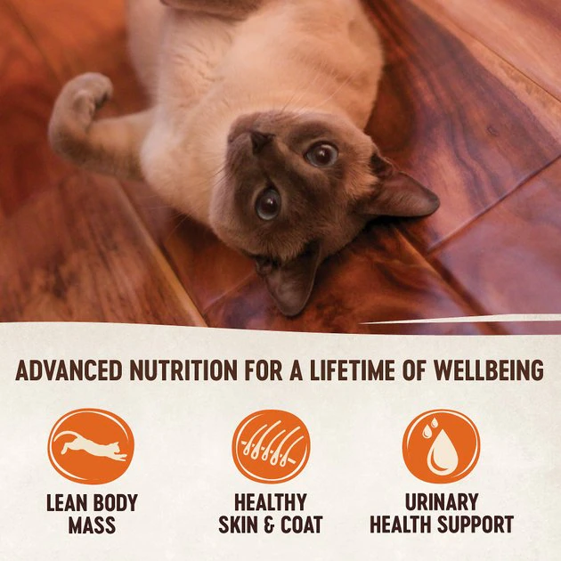 Wellness Complete Health Kitten Formula Grain-Free Canned Food + CORE Natural Grain-Free Turkey & Chicken Liver Pate Canned Kitten Food Wellness Complete Health Kitten Formula Grain-Free Canned Food + CORE Natural Grain-Free Turkey & Chicken Liver Pate Canned Kitten Food -Pet Toy Elegant Shop 294276 PT7. SY630 V1621984103