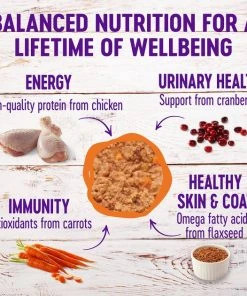 Wellness Complete Health Pate Chicken Entree Grain-Free Canned Cat Food, 3-oz, case of 24 + Wellness Complete Health Grain-Free Indoor Healthy Weight Chicken Recipe Dry Cat Food, 11.5-lb bag 4 Wellness Complete Health Pate Chicken Entree Grain-Free Canned Cat Food, 3-oz, case of 24 + Wellness Complete Health Grain-Free Indoor Healthy Weight Chicken Recipe Dry Cat Food, 11.5-lb bag -Pet Toy Elegant Shop 297650 PT2. SY630 V1621988924