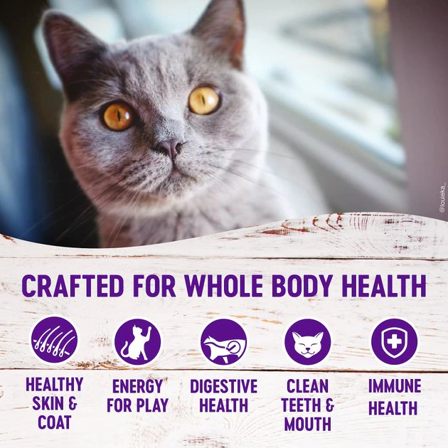Wellness Complete Health Pate Chicken Entree Grain-Free Canned Cat Food, 3-oz, case of 24 + Wellness Complete Health Grain-Free Indoor Healthy Weight Chicken Recipe Dry Cat Food, 11.5-lb bag Wellness Complete Health Pate Chicken Entree Grain-Free Canned Cat Food, 3-oz, case of 24 + Wellness Complete Health Grain-Free Indoor Healthy Weight Chicken Recipe Dry Cat Food, 11.5-lb bag -Pet Toy Elegant Shop 297650 PT6. SY630 V1621987736