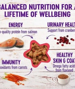 American Journey||Wellness American Journey Minced Salmon & Tuna Recipe in Gravy Grain-Free Canned Cat Food, 3-oz, case of 24 + Wellness Complete Health Natural Minced Salmon Dinner Grain-Free Canned Cat Food, 3-oz, case of 24 -Pet Toy Elegant Shop 297778 PT5. SY630 V1621293139