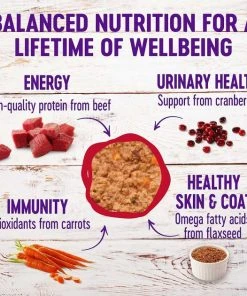 American Journey||Wellness American Journey Pate Beef & Chicken Recipe Grain-Free Canned Cat Food, 3-oz, case of 24 + Wellness Complete Health Adult Beef & Chicken Formula Grain-Free Canned Cat Food, 3-oz, case of 24 7 American Journey||Wellness American Journey Pate Beef & Chicken Recipe Grain-Free Canned Cat Food, 3-oz, case of 24 + Wellness Complete Health Adult Beef & Chicken Formula Grain-Free Canned Cat Food, 3-oz, case of 24 -Pet Toy Elegant Shop 297786 PT5. SY630 V1621261051