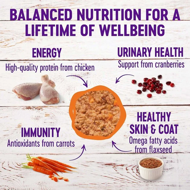 American Journey Pate Chicken Recipe Grain-Free Canned Cat Food, 12.5-oz, case of 12 + Wellness Complete Health Pate Chicken Entree Grain-Free Canned Cat Food, 12.5-oz, case of 12 American Journey||Wellness American Journey Pate Chicken Recipe Grain-Free Canned Cat Food, 12.5-oz, case of 12 + Wellness Complete Health Pate Chicken Entree Grain-Free Canned Cat Food, 12.5-oz, case of 12 -Pet Toy Elegant Shop 297788 PT5. SY630 V1621261059