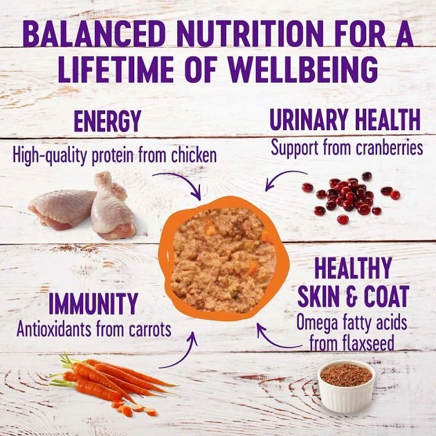 American Journey Pate Chicken Recipe Grain-Free Canned Cat Food, 3-oz, case of 24 + Wellness Complete Health Pate Chicken Entree Grain-Free Canned Cat Food, 3-oz, case of 24 American Journey||Wellness American Journey Pate Chicken Recipe Grain-Free Canned Cat Food, 3-oz, case of 24 + Wellness Complete Health Pate Chicken Entree Grain-Free Canned Cat Food, 3-oz, case of 24 -Pet Toy Elegant Shop 297790 PT5. SY630 V1623253956