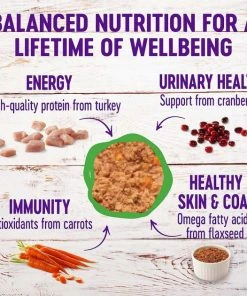 American Journey||Wellness American Journey Pate Turkey Recipe Grain-Free Canned Cat Food, 12.5-oz, case of 12 + Wellness Complete Health Turkey Formula Grain-Free Canned Cat Food, 12.5-oz, case of 12 -Pet Toy Elegant Shop 297802 PT5. SY630 V1623253662