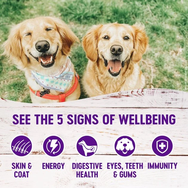 Wellness Complete Health Just for Puppy Canned Dog Food, 12.5-oz, case of 12 + Wellness Soft Puppy Bites Lamb & Salmon Recipe Grain-Free Dog Treats, 3-oz pouch 6 Wellness Complete Health Just for Puppy Canned Dog Food, 12.5-oz, case of 12 + Wellness Soft Puppy Bites Lamb & Salmon Recipe Grain-Free Dog Treats, 3-oz pouch - Image 4