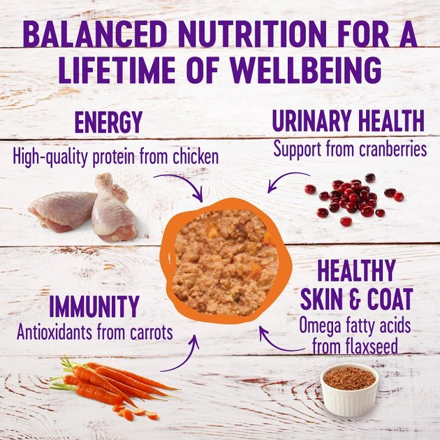 Wellness Complete Health Pate Chicken Entree Grain-Free Canned Cat Food, 3-oz, case of 24 + Wellness Complete Health Natural Grain-Free Deboned Chicken & Chicken Meal Dry Cat Food, 11.5-lb bag Wellness Complete Health Pate Chicken Entree Grain-Free Canned Cat Food, 3-oz, case of 24 + Wellness Complete Health Natural Grain-Free Deboned Chicken & Chicken Meal Dry Cat Food, 11.5-lb bag -Pet Toy Elegant Shop 298666 PT2. SY630 V1621990645