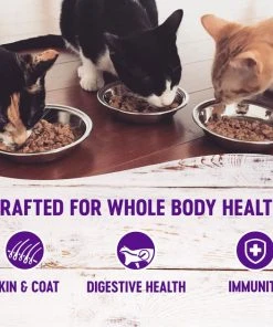 Wellness Complete Health Pate Chicken Entree Grain-Free Canned Cat Food, 3-oz, case of 24 + Wellness Complete Health Natural Grain-Free Deboned Chicken & Chicken Meal Dry Cat Food, 11.5-lb bag 5 Wellness Complete Health Pate Chicken Entree Grain-Free Canned Cat Food, 3-oz, case of 24 + Wellness Complete Health Natural Grain-Free Deboned Chicken & Chicken Meal Dry Cat Food, 11.5-lb bag -Pet Toy Elegant Shop 298666 PT3. SY630 V1621982236