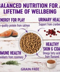 Wellness Complete Health Pate Chicken Entree Grain-Free Canned Cat Food, 3-oz, case of 24 + Wellness Complete Health Natural Grain-Free Salmon & Herring Dry Cat Food, 11.5-lb bag -Pet Toy Elegant Shop 298670 PT5. SY630 V1621297661