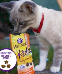 Wellness Complete Health Pate Chicken Entree Grain-Free Canned Cat Food, 12.5-oz, case of 12 + Wellness Kittles Grain-Free Salmon & Cranberries Recipe Crunchy Cat Treats, 6-oz bag -Pet Toy Elegant Shop 298672 PT6. SY630 V1621988586