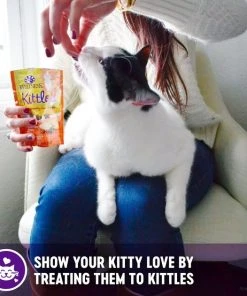 Wellness Complete Health Pate Chicken Entree Grain-Free Canned Cat Food, 12.5-oz, case of 12 + Wellness Kittles Grain-Free Salmon & Cranberries Recipe Crunchy Cat Treats, 6-oz bag -Pet Toy Elegant Shop 298672 PT7. SY630 V1621984082