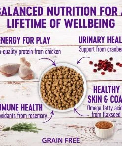 Wellness Complete Health Poultry Lovers Pate Variety Pack Grain-Free Canned Cat Food, 5.5-oz, case of 30 + Wellness Complete Health Natural Grain-Free Deboned Chicken & Chicken Meal Dry Cat Food, 11.5-lb bag 7 Wellness Complete Health Poultry Lovers Pate Variety Pack Grain-Free Canned Cat Food, 5.5-oz, case of 30 + Wellness Complete Health Natural Grain-Free Deboned Chicken & Chicken Meal Dry Cat Food, 11.5-lb bag -Pet Toy Elegant Shop 298676 PT5. SY630 V1621981964