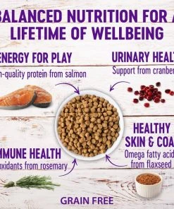 Wellness Complete Health Turkey & Salmon Formula Grain-Free Canned Cat Food, 12.5-oz, case of 12 + Wellness Complete Health Grain-Free Indoor Healthy Weight Chicken Recipe Dry Cat Food, 11.5-lb bag 7 Wellness Complete Health Turkey & Salmon Formula Grain-Free Canned Cat Food, 12.5-oz, case of 12 + Wellness Complete Health Grain-Free Indoor Healthy Weight Chicken Recipe Dry Cat Food, 11.5-lb bag -Pet Toy Elegant Shop 298686 PT5. SY630 V1621984999