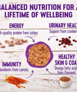 Wellness Complete Health Turkey & Salmon Formula Grain-Free Canned Cat Food, 12.5-oz, case of 12 + Wellness Complete Health Natural Grain-Free Salmon & Herring Dry Cat Food, 11.5-lb bag 4 Wellness Complete Health Turkey & Salmon Formula Grain-Free Canned Cat Food, 12.5-oz, case of 12 + Wellness Complete Health Natural Grain-Free Salmon & Herring Dry Cat Food, 11.5-lb bag -Pet Toy Elegant Shop 298690 PT2. SY630 V1621991032