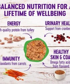 Wellness Complete Health Turkey Formula Grain-Free Canned Cat Food, 12.5-oz, case of 12 + Wellness Complete Health Natural Grain-Free Deboned Chicken & Chicken Meal Dry Cat Food, 11.5-lb bag 4 Wellness Complete Health Turkey Formula Grain-Free Canned Cat Food, 12.5-oz, case of 12 + Wellness Complete Health Natural Grain-Free Deboned Chicken & Chicken Meal Dry Cat Food, 11.5-lb bag -Pet Toy Elegant Shop 298694 PT2. SY630 V1621991307