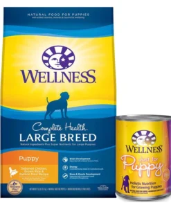 Wellness Large Breed Complete Health Puppy Deboned Chicken, Brown Rice & Salmon Meal Recipe Dry Dog Food, 30-lb bag + Wellness Complete Health Just for Puppy Canned Dog Food, 12.5-oz, case of 12